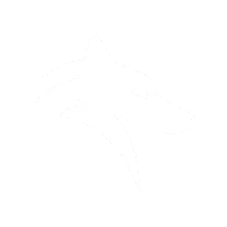 Overwolf